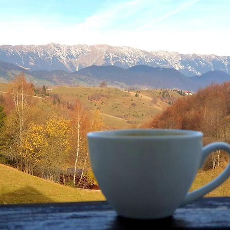 La Kaifas Villa Fundata Buitenkant foto
